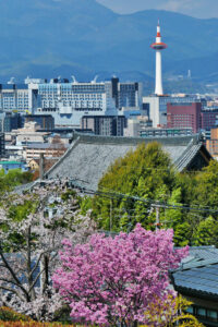 Reasons why personal photography is popular! How to arrange a photographer in Kyoto and the market price