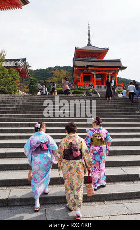 一群身着传统日本和服的女性游客恭敬地走上京都寺庙区清水寺的历史石阶,展示正确的寺庙礼仪