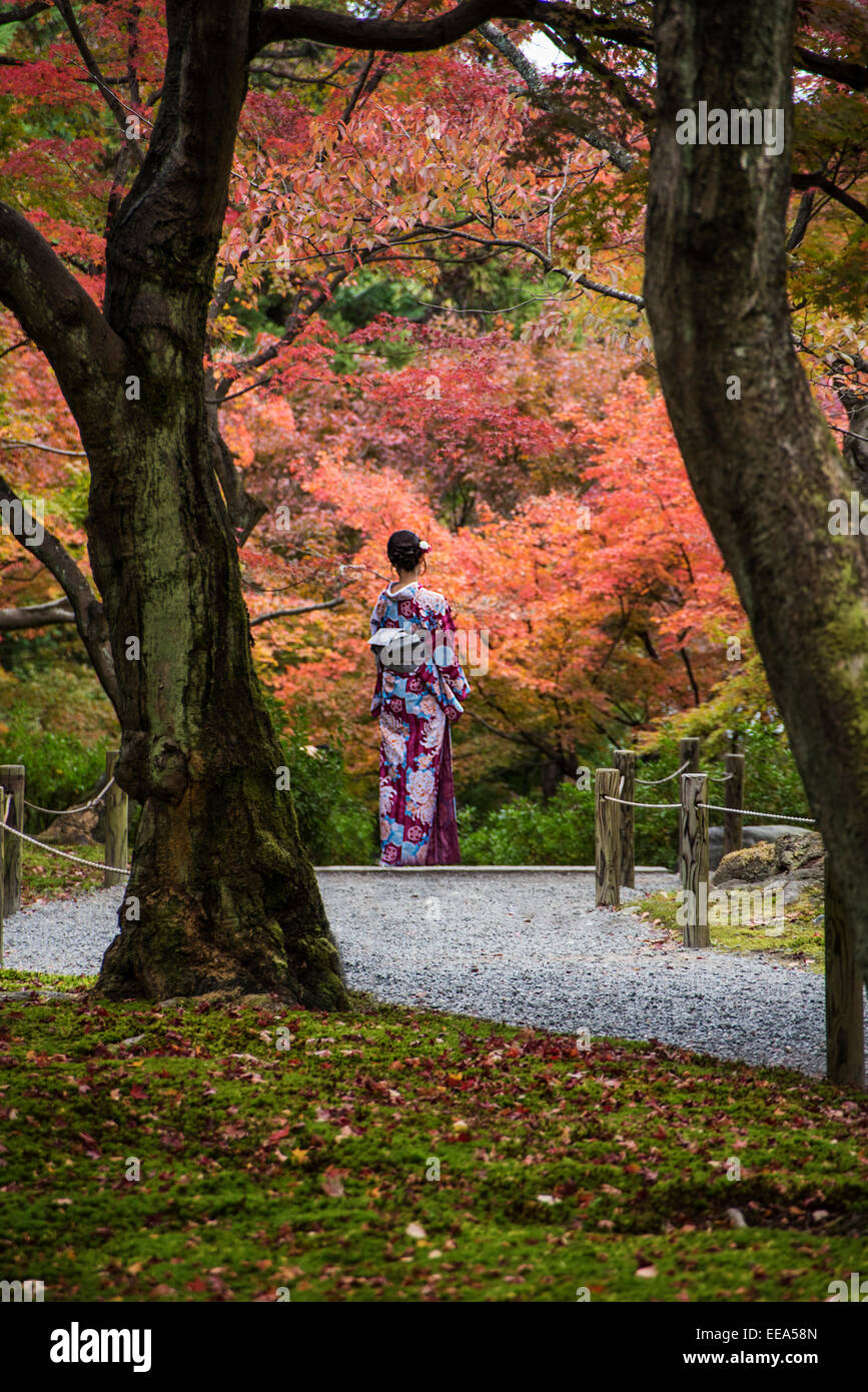 身着传统和服的日本女子参观东福寺的秋季枫叶,展示该寺著名的秋叶和禅宗花园氛围